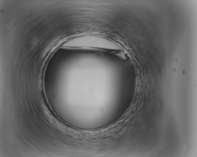 X0000087630002200705181512