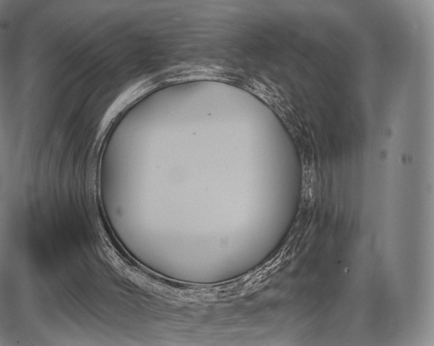 X0000087630004200705181512