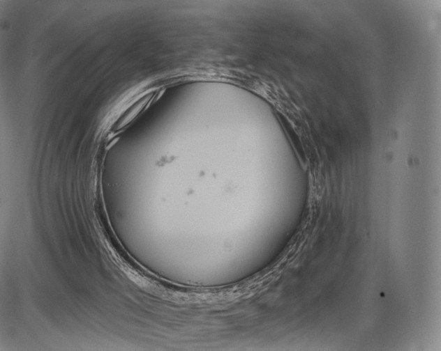 X0000087630005200705181512