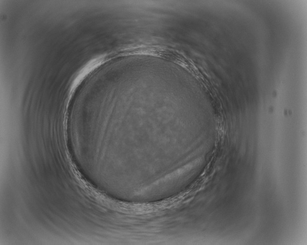 X0000087630006200705181512