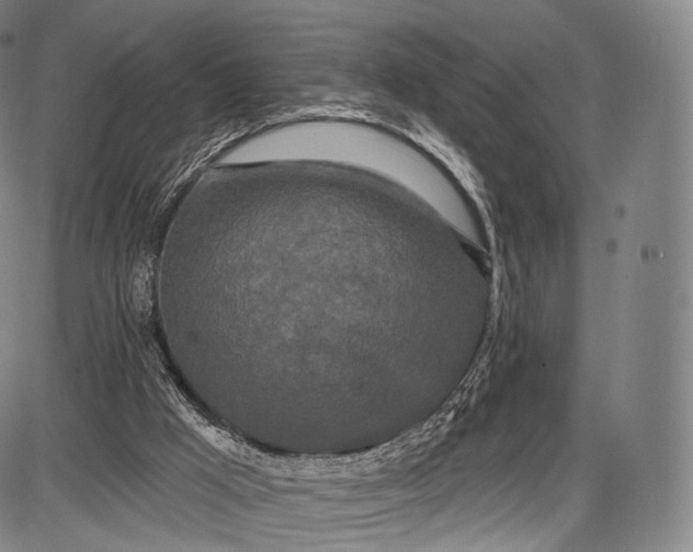 X0000087630009200705181512