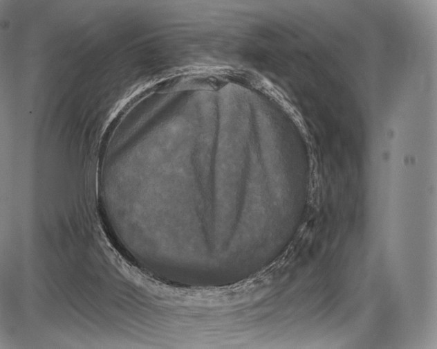 X0000087630011200705181512