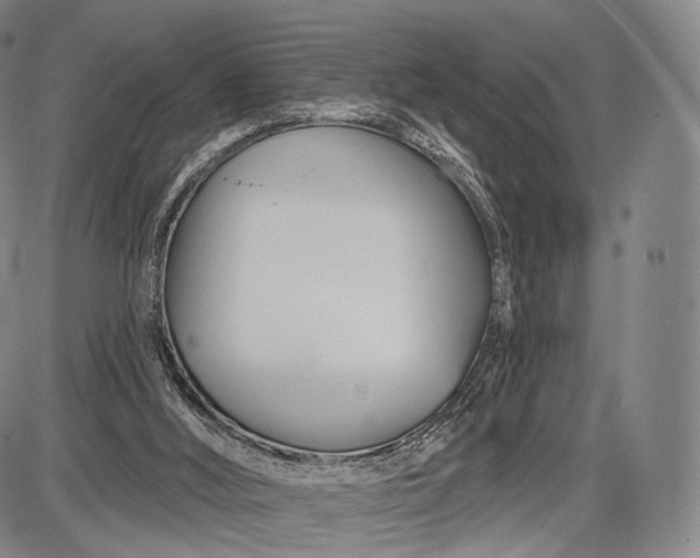 X0000087630012200705181512