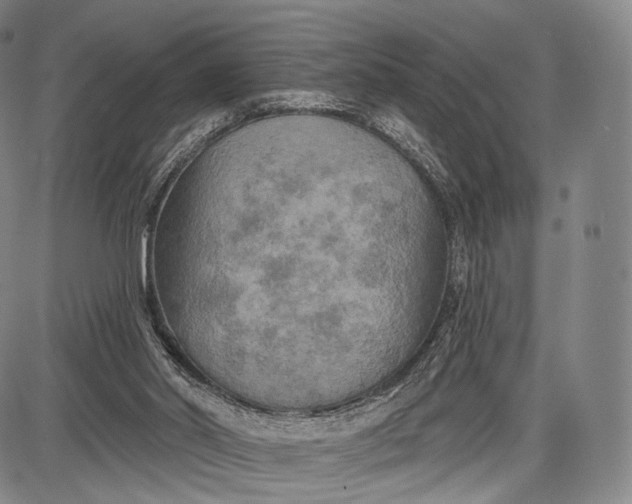 X0000087630014200705181512