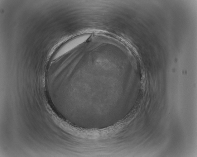 X0000087630015200705181512