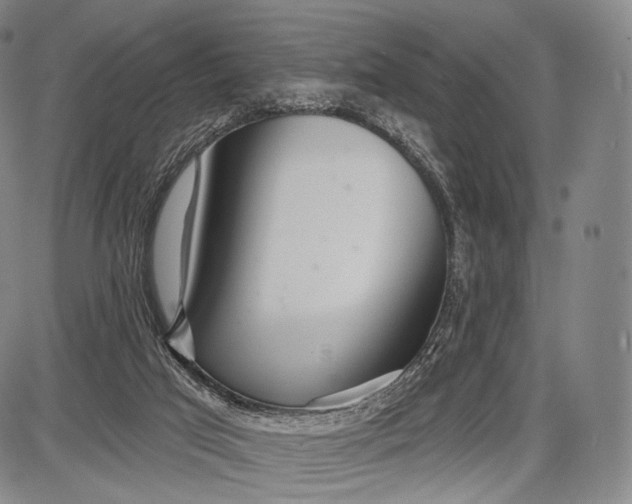 X0000087630017200705181512