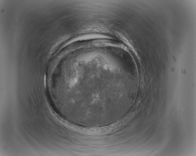 X0000087630019200705181512