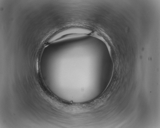 X0000087630020200705181512