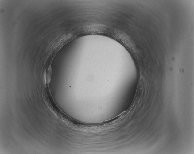 X0000087630021200705181512