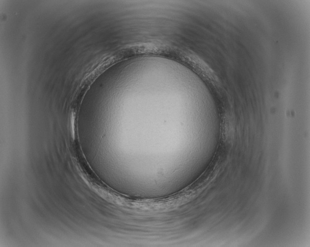 X0000087630022200705181512