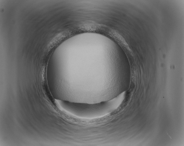 X0000087630023200705181512