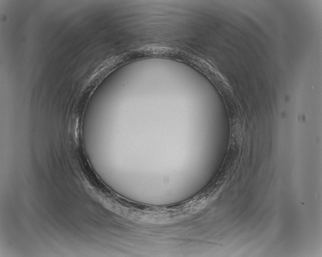 X0000087630024200705181512