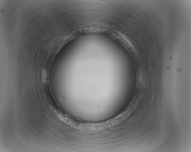 X0000087630025200705181512