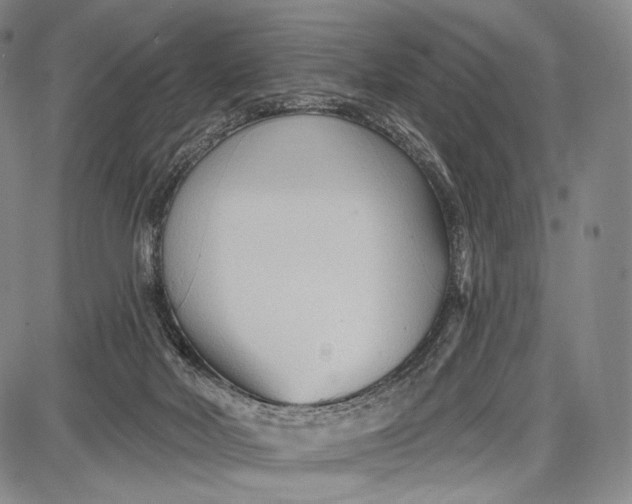 X0000087630026200705181512