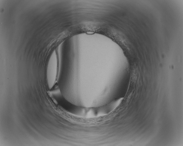 X0000087630027200705181512