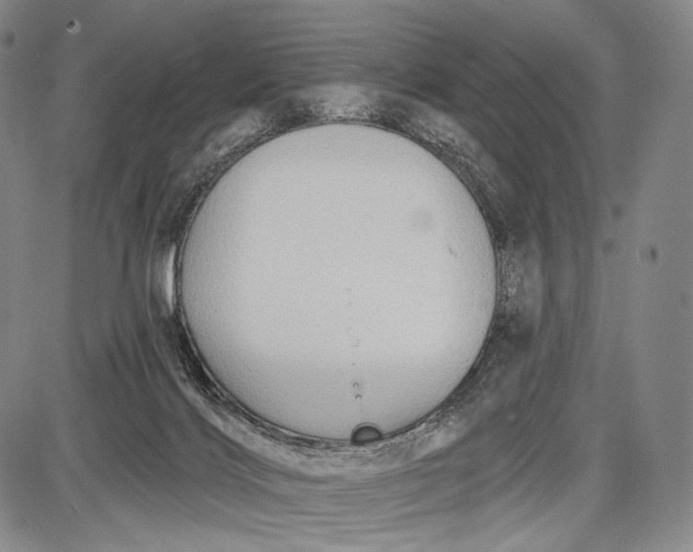 X0000087630028200705181512