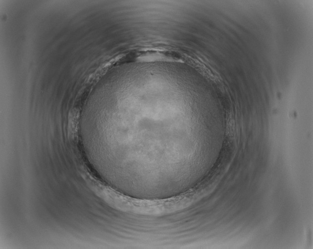 X0000087630030200705181511