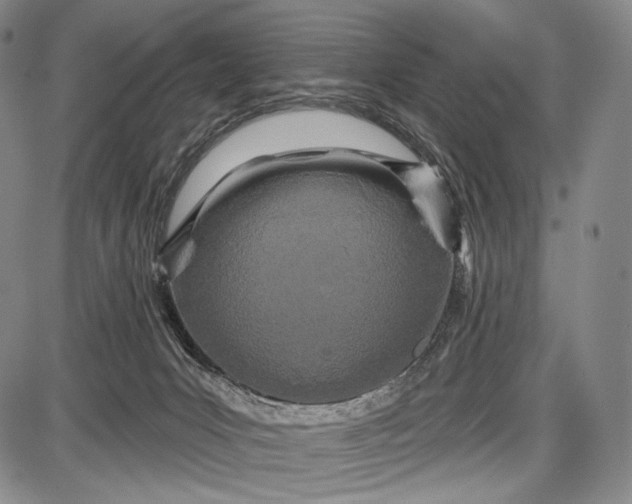 X0000087630031200705181511