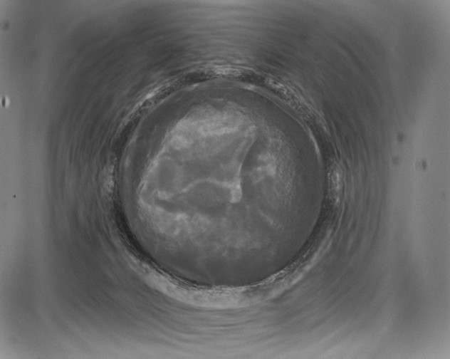 X0000087630032200705181511