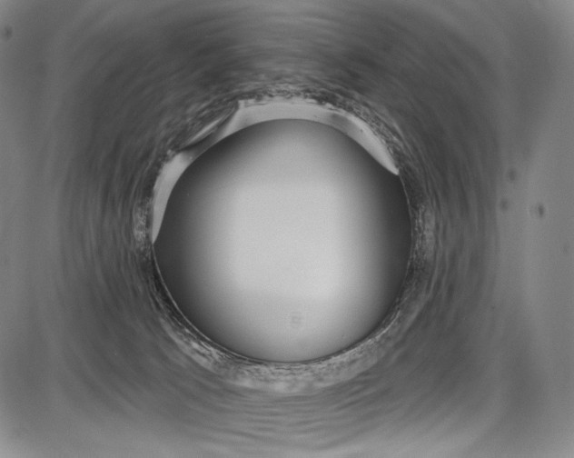 X0000087630033200705181511