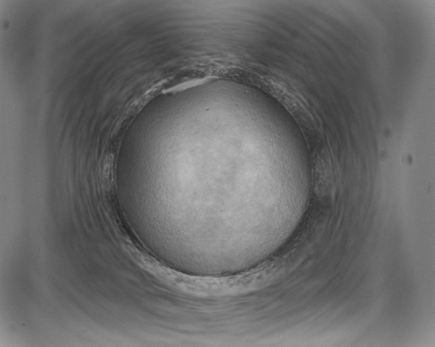 X0000087630034200705181511