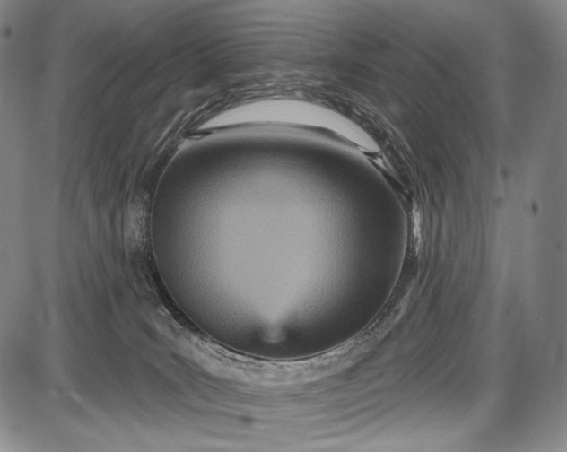 X0000087630035200705181511