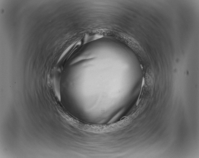 X0000087630037200705181511