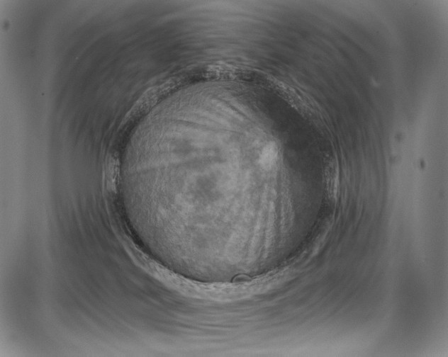 X0000087630038200705181511