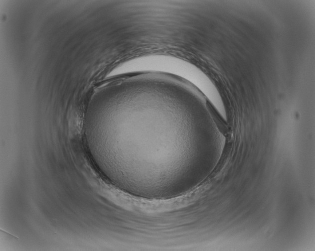 X0000087630039200705181511