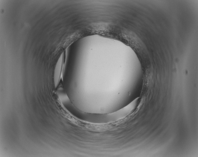 X0000087630041200705181511