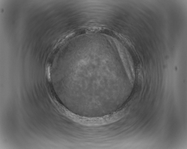 X0000087630042200705181511