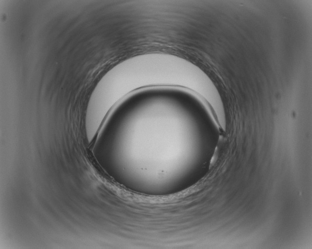 X0000087630043200705181511