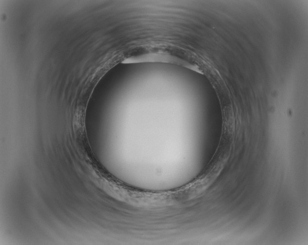 X0000087630044200705181511