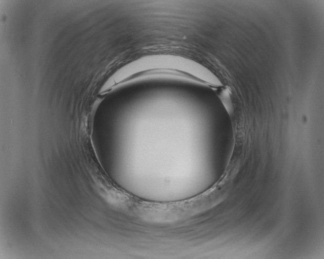 X0000087630045200705181511