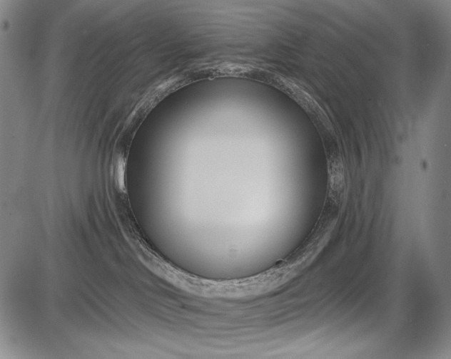 X0000087630046200705181511