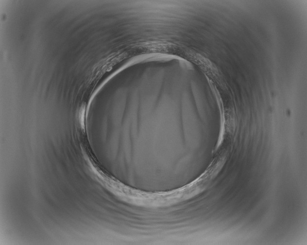 X0000087630047200705181511