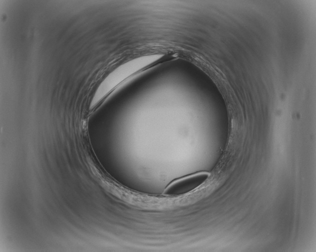 X0000087630048200705181511