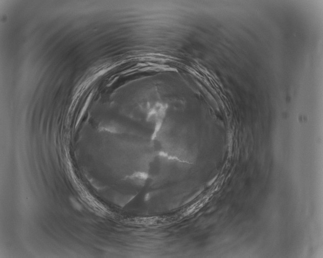 X0000087630049200705181510