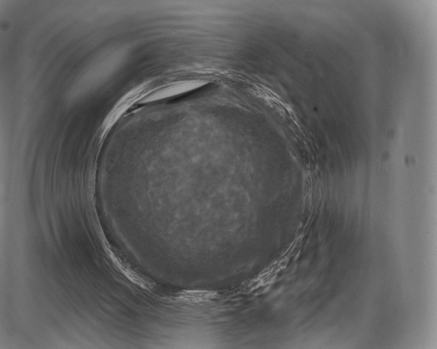 X0000087630051200705181510