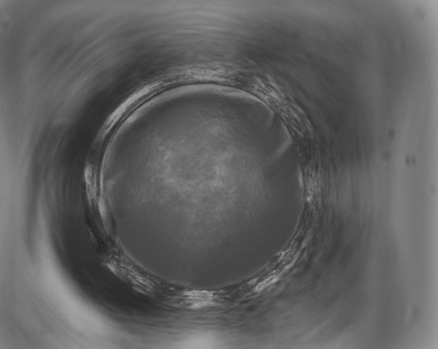 X0000087630052200705181510