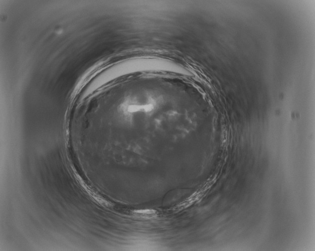 X0000087630053200705181510