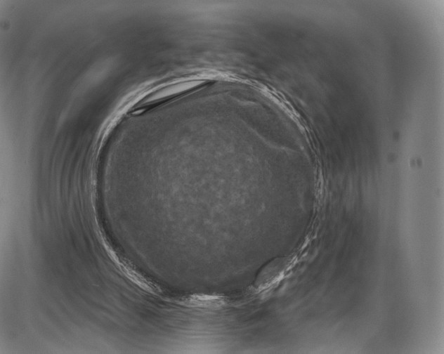 X0000087630055200705181510