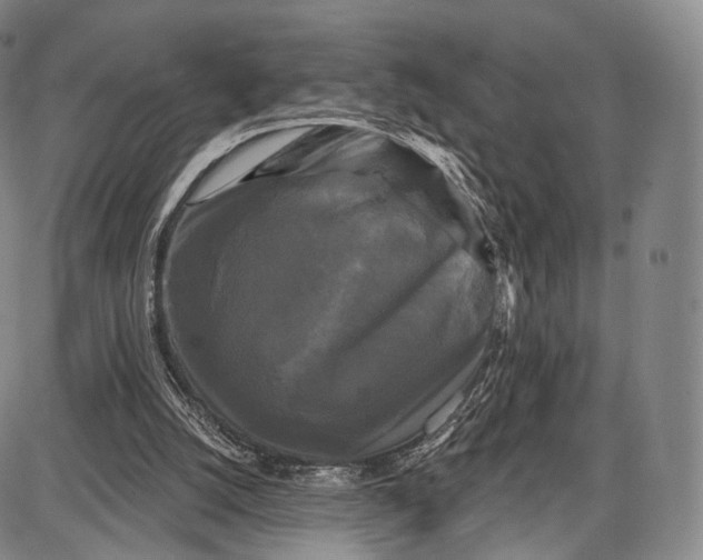 X0000087630056200705181511