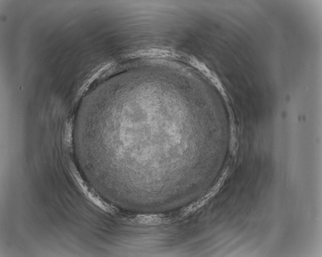 X0000087630057200705181511