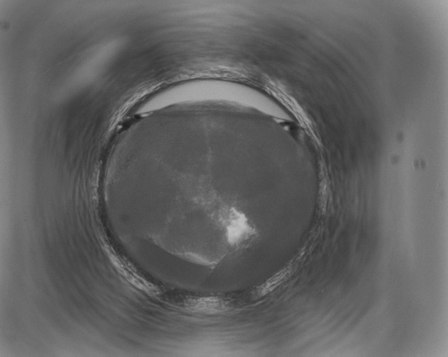 X0000087630058200705181511