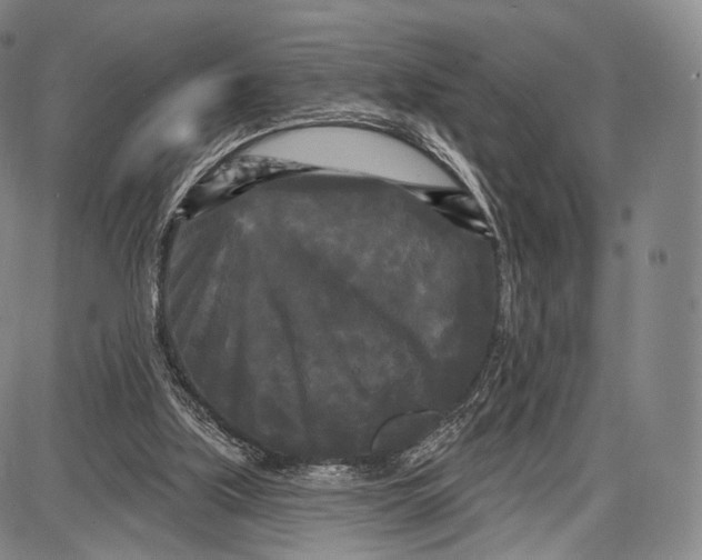 X0000087630059200705181511