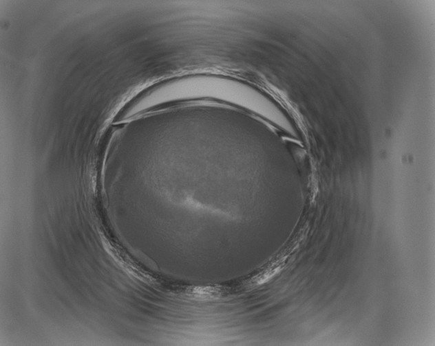 X0000087630060200705181511