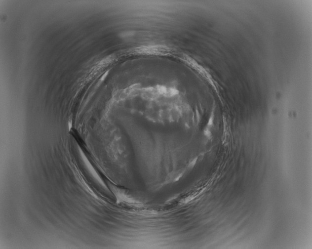 X0000087630061200705181511