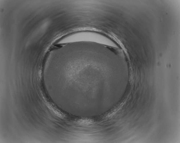 X0000087630063200705181511