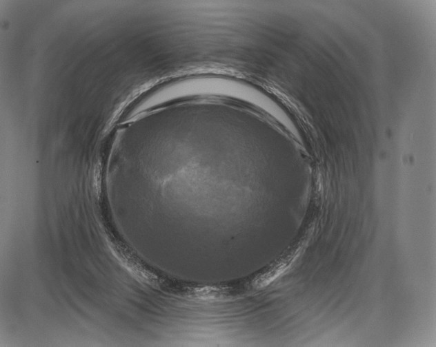 X0000087630064200705181511